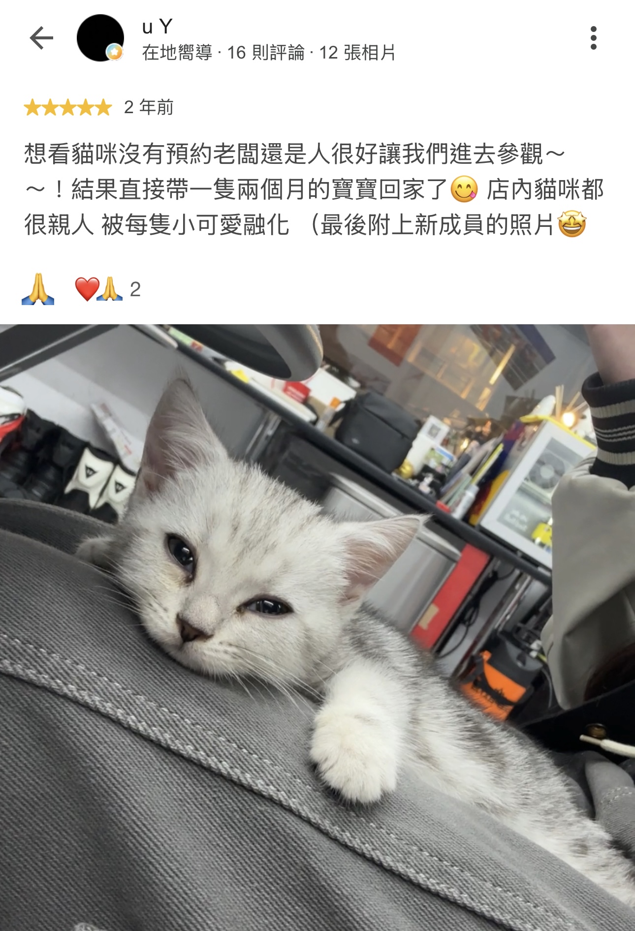 u Y的原始 Google 評論截圖